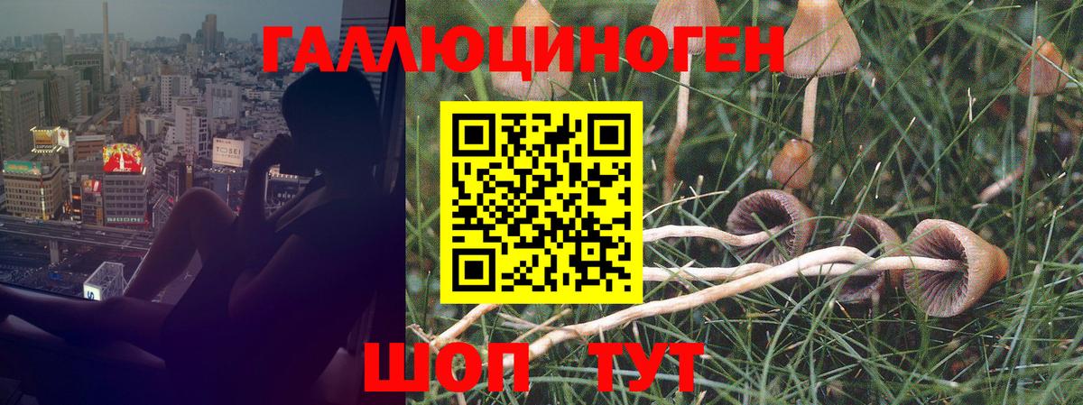 Псилоцибиновые грибы Psilocybine cubensis  Вход с VPN  купить наркотик  Пенза  Псилоцибиновые грибы ЛСД 
