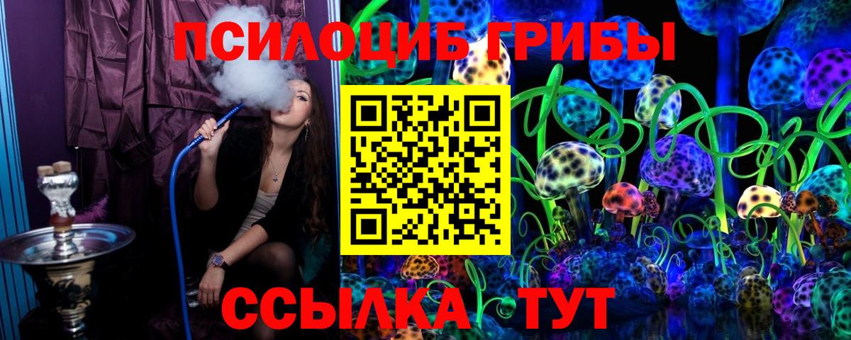 Псилоцибиновые грибы мицелий Пенза